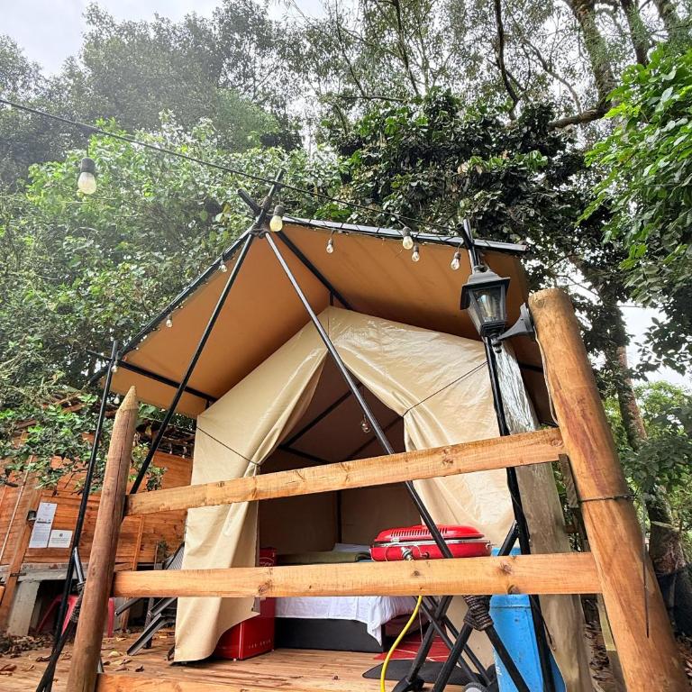 Glamping Colibrí, bosque vecino y vista a la montaña al mismo tiempo - Tienda - 15
