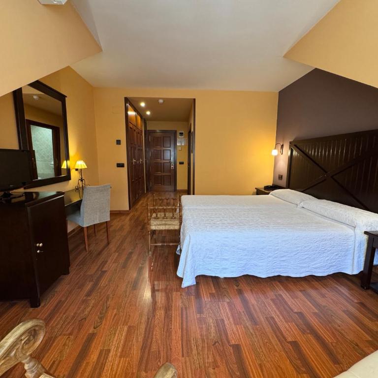 Hotel Cotiella - Camera Superior Matrimoniale/Doppia con Letti Singoli - 1