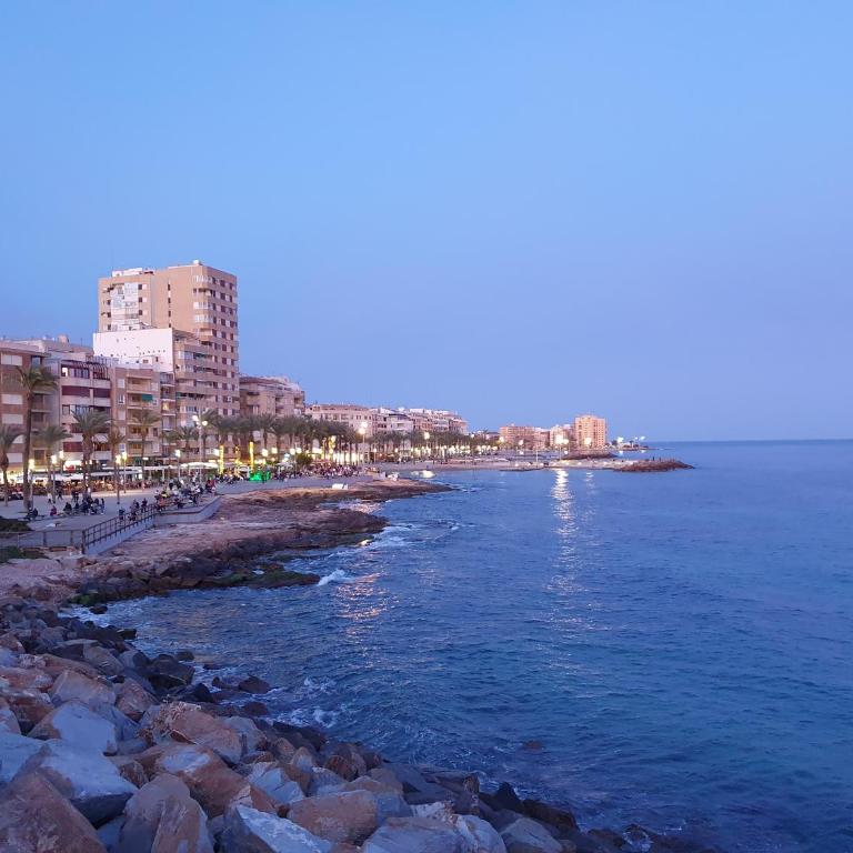 Acequion Beach Apartment - One-Bedroom Apartment - 2