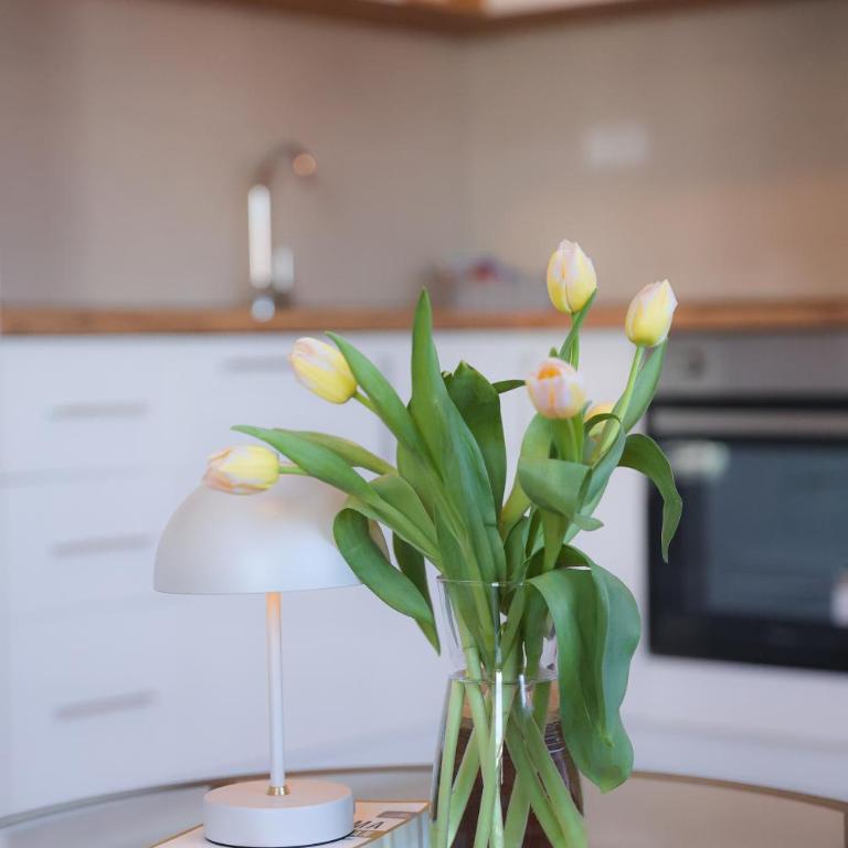Apartman Mint&White Borik - Apartman s 1 Spavaćom Sobom i Terasom - 8