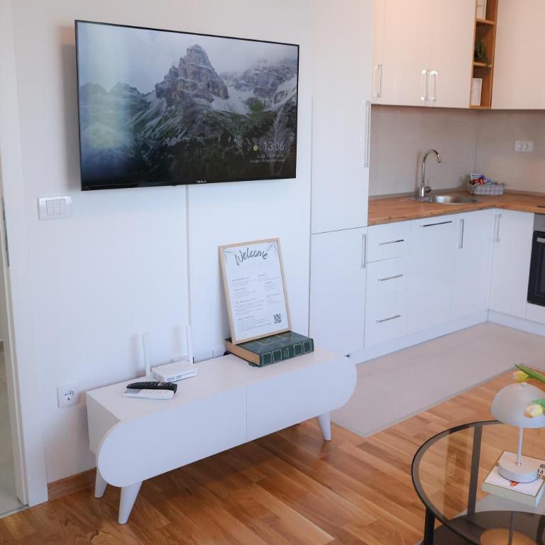 Apartman Mint&White Borik - Apartman s 1 Spavaćom Sobom i Terasom - 14