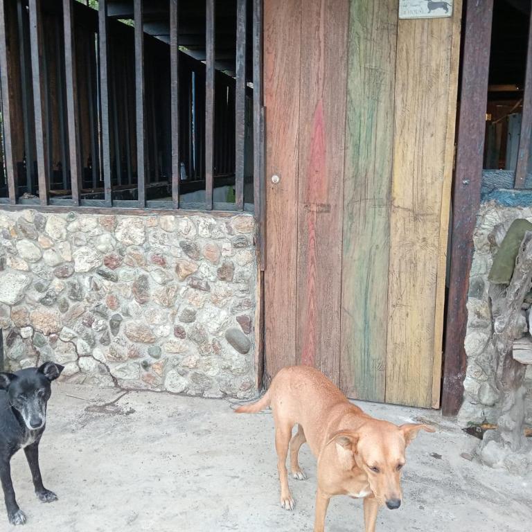 casa guayaba lodge - Casa de 2 dormitorios - 35