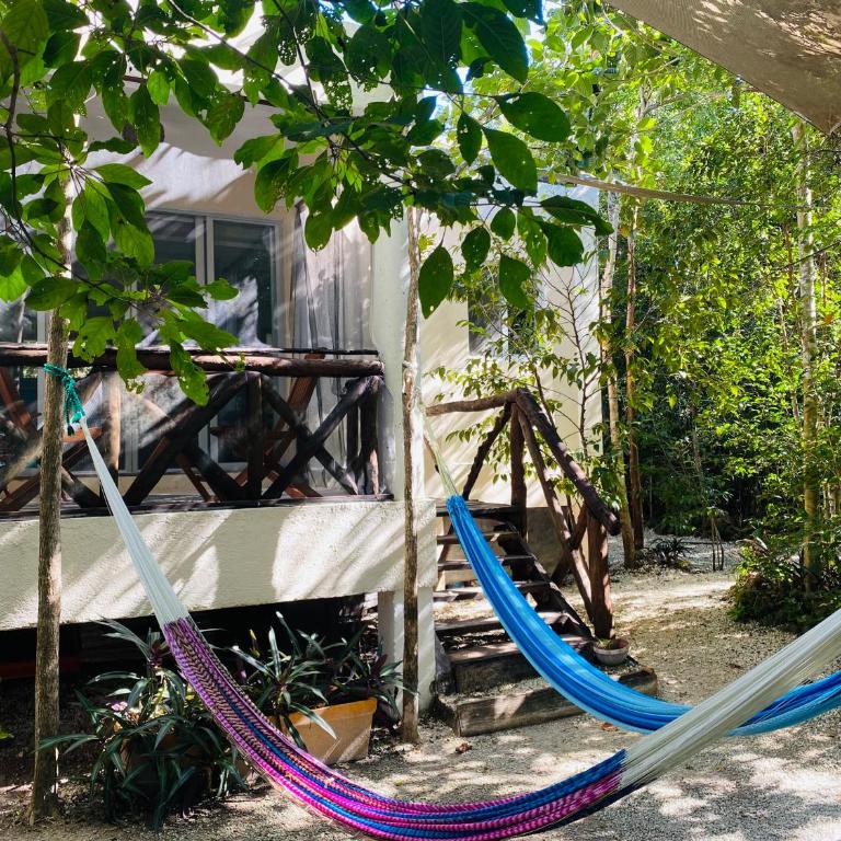 Eco Bungalow Bé La Kin - Apartamento de 1 dormitorio - 1