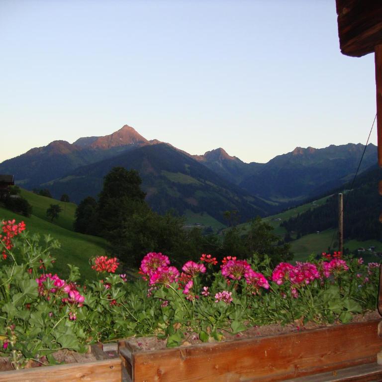 Alpengasthof Rossmoos - Apartment mit Balkon - 4