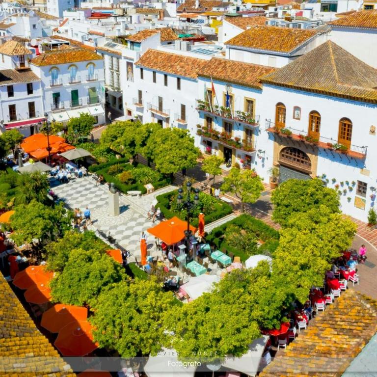 Apartamento Plaza de los naranjos - Apartamento de 1 dormitorio - 3