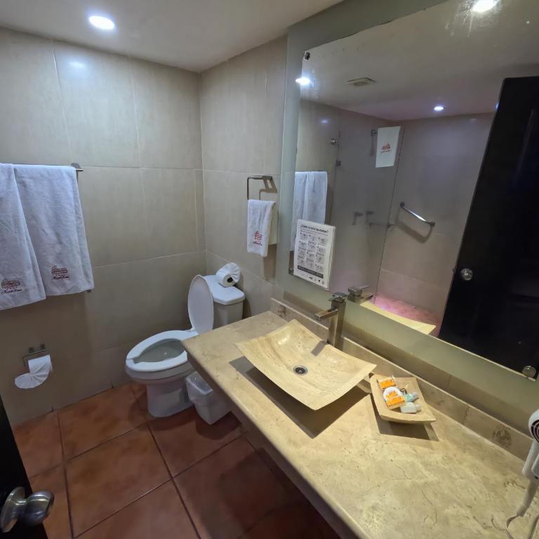 Roma Guadalajara in downtown - Deluxe Double Room - 4