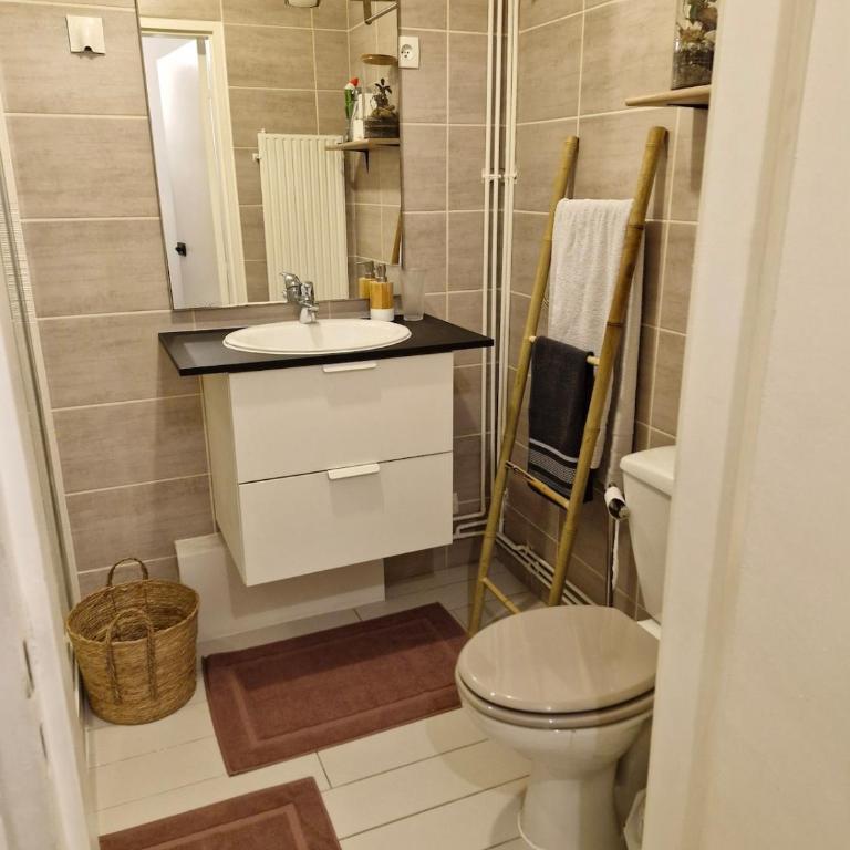 Bel Appartement Parisien - Appartement 1 Chambre - 7