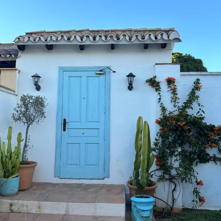 Lovely villa in San Pedro de Alcantara, Marbella - Villa de 3 dormitorios - 8