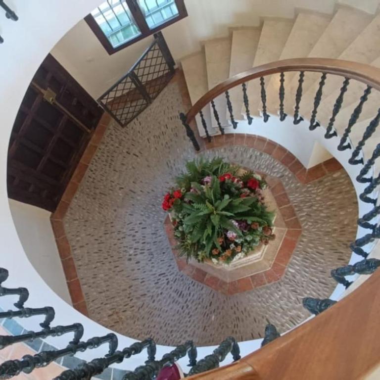 Villa Cielo - Villa - 33