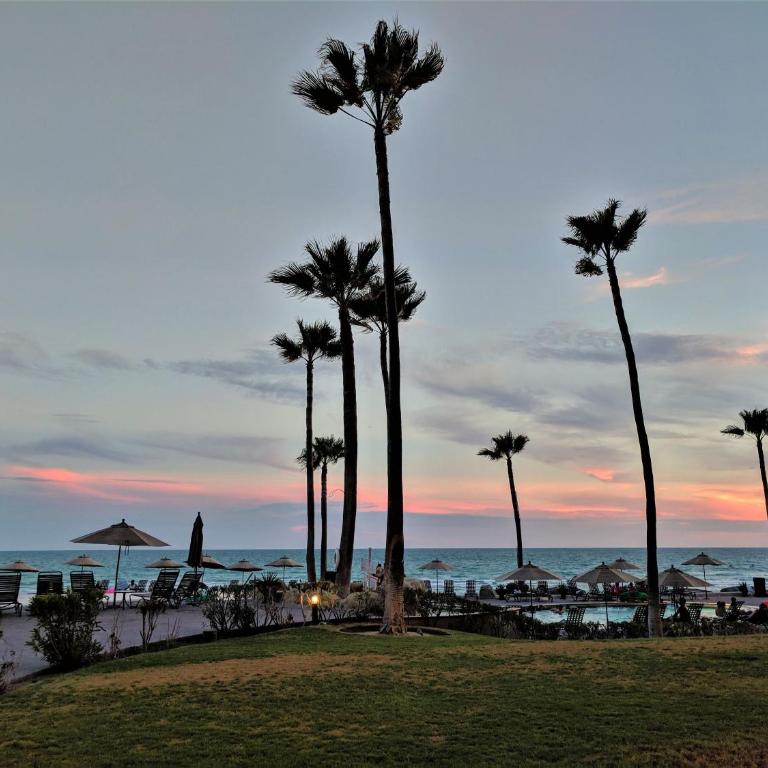 Sonoran Sea 512-W Elevated Coastal Escape with Stunning Ocean Views - Casa con 1 dormitorio - 41