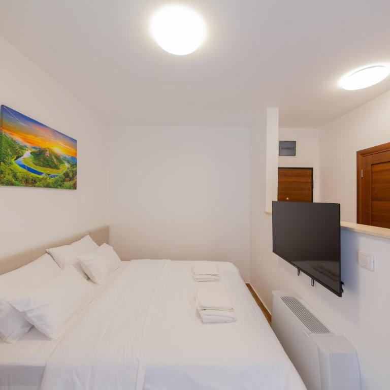 Luča Apartments - Superior Studio - 7