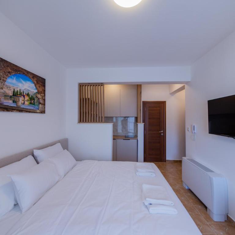 Luča Apartments - Standardni Studio - 9
