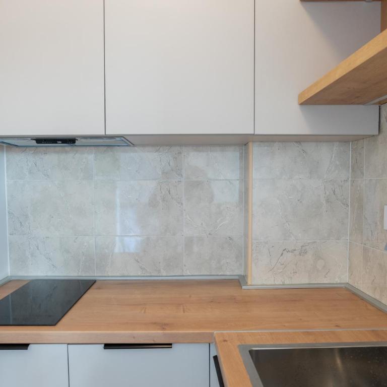 Luča Apartments - Standardni Studio - 13