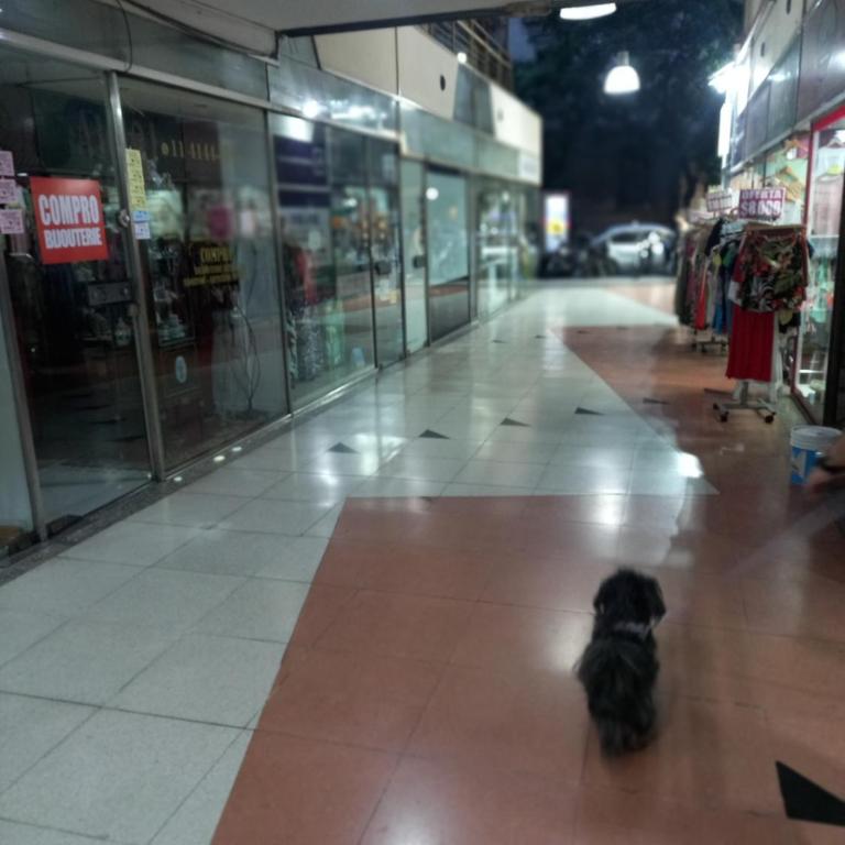 Corazón Porteño Santa Fe y Cerrito - Apartamento de 1 dormitorio - 28