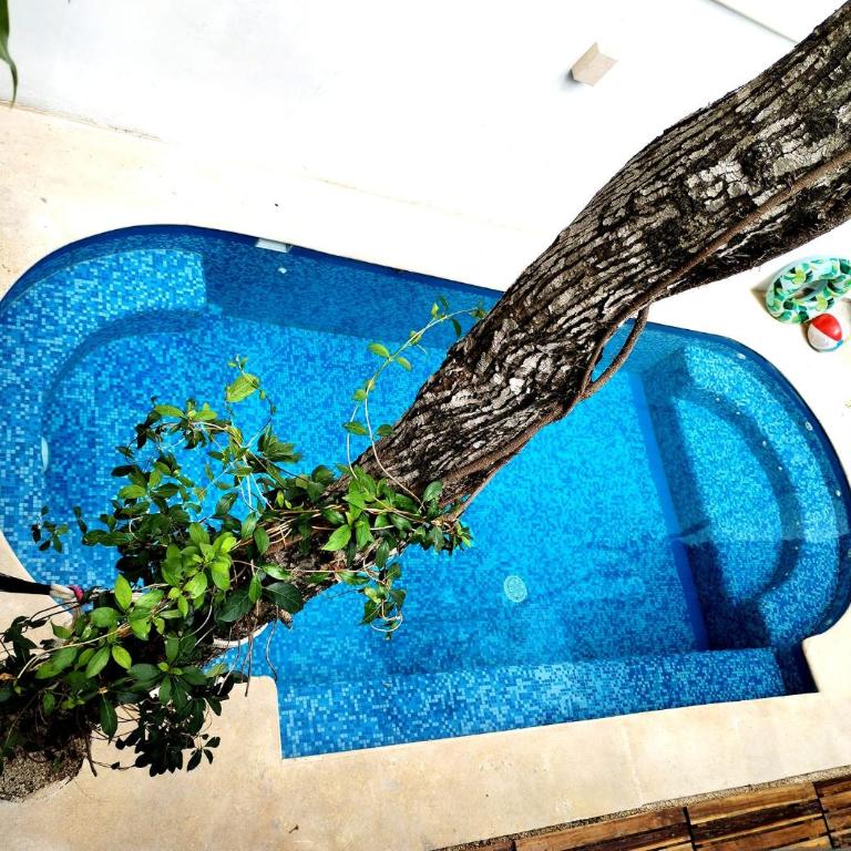 villa tucanes 5 BDR 10 PPL - Villa con piscina privada - 55