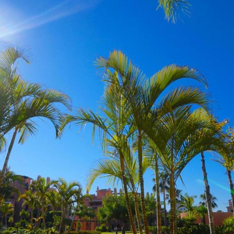MARBELLA APARTMENT I Beachside and Extra Spacious, next to Marriott Playa Andaluza, Private HEATED Jacuzzi, 6 Swimming Pools, Gym, Padel & Tennis - Apartment mit 2 Schlafzimmern - 31