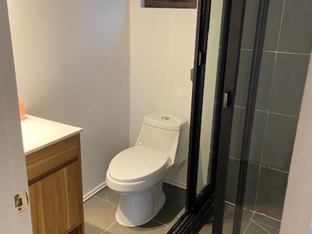 Tiny house en el bosque a 10 min de Valdivia, Wifi, Smart TV, free Parking - One-Bedroom Apartment - 2