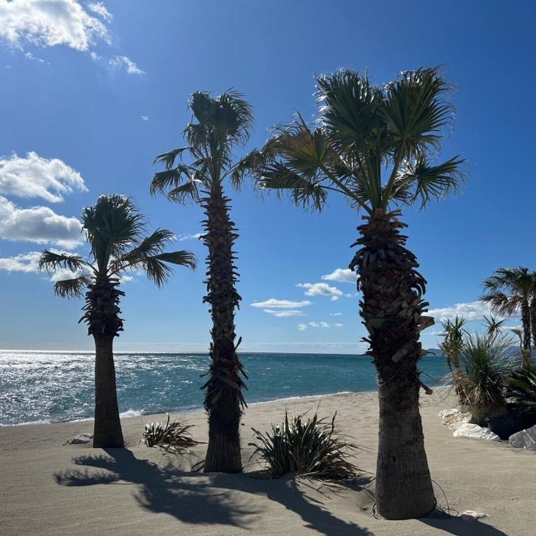 Saint-Cyprien: T3 en RDC, Terrasse, Parking, à 600m de la Plage - FR-1-793-15 - Apartment - 16