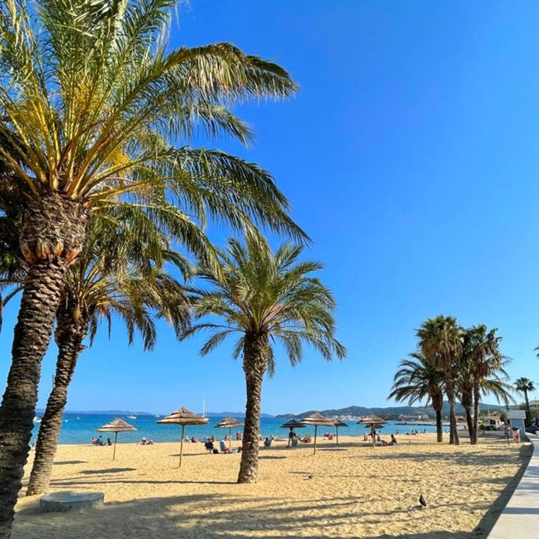 Studio pratique 4 pers., bord de mer au Lavandou, avec parking et climatisation - FR-1-803-89 - Studio - 10