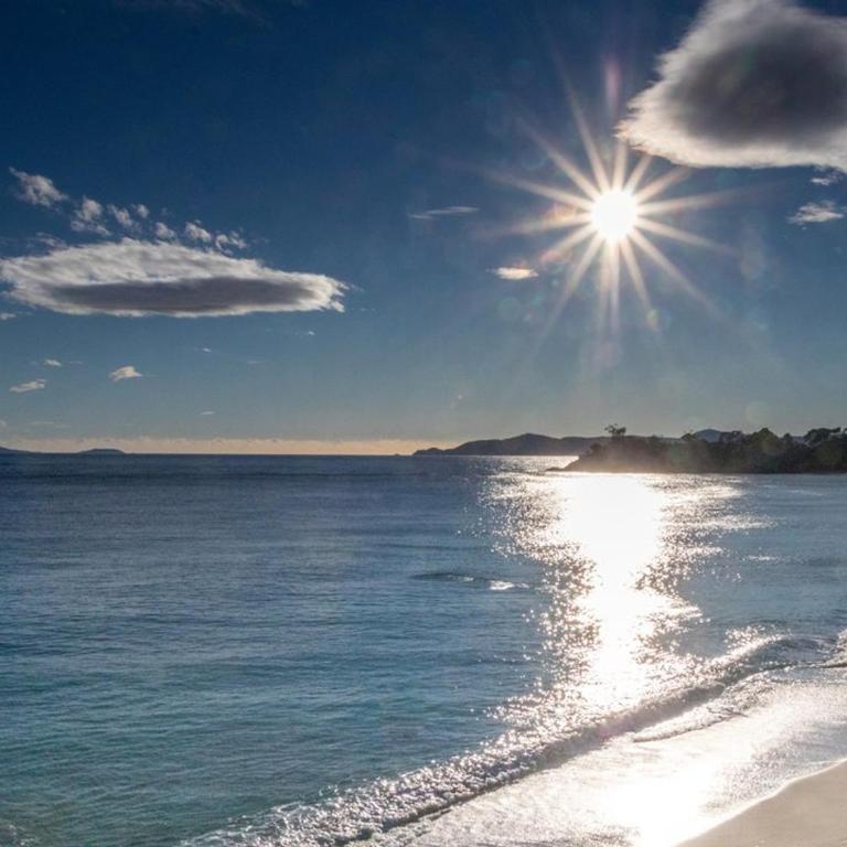 Location T2 Mezzanine, 6 Pers, Clim, Plage Cavalière - FR-1-803-73 - Apartamento - 1