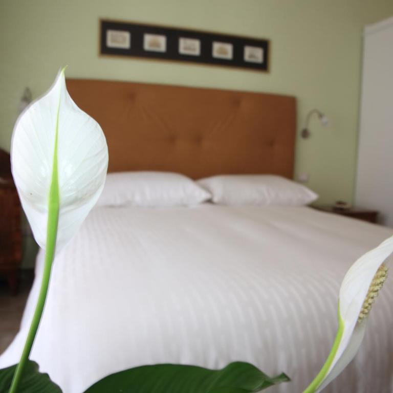 Anice Guesthouse - Camera Matrimoniale Deluxe con Balcone - 5