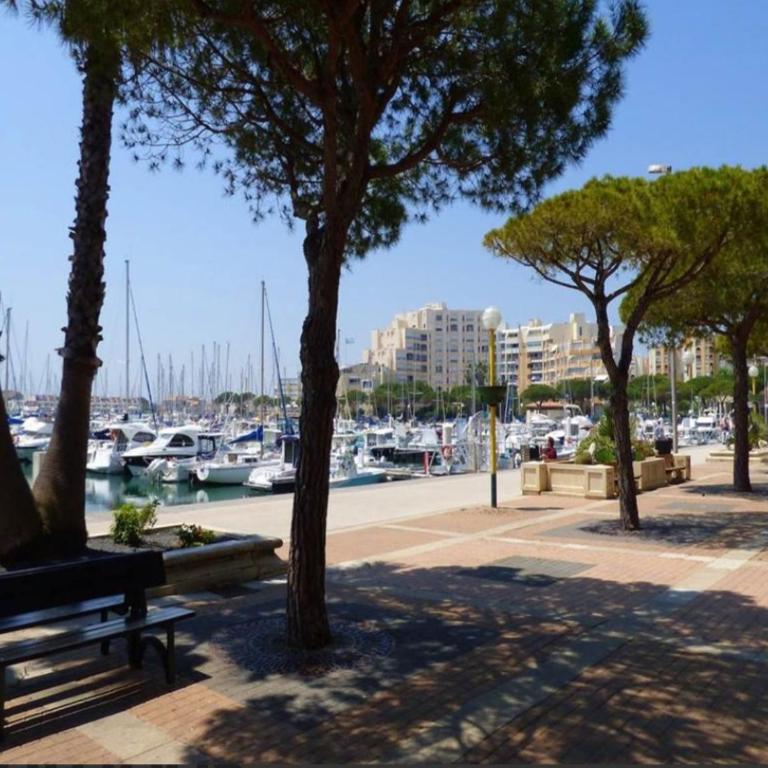 Les pieds dans l'eau - Appartement 1 Chambre - 14