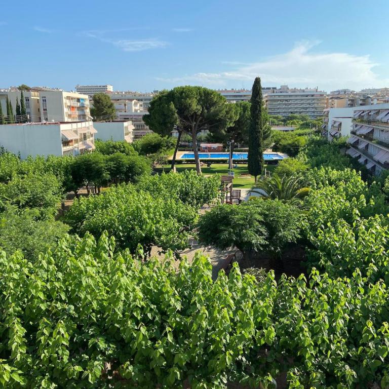 Charming apartment - Apartamento de 1 dormitorio - 37
