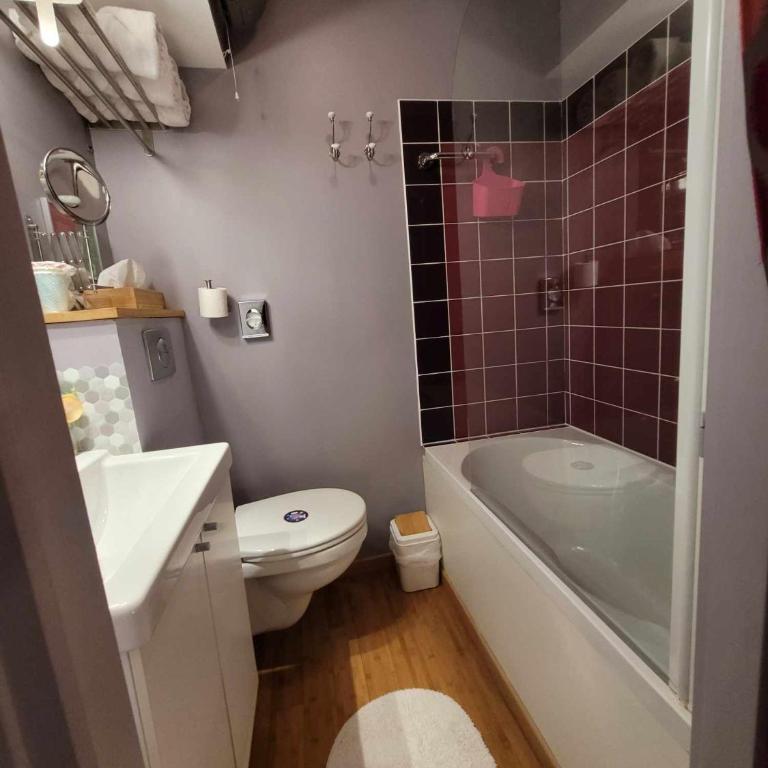 Péniche Amboise Maison d'Hôtes Flottante Toulouse Centre - Habitación Triple con baño privado - 7