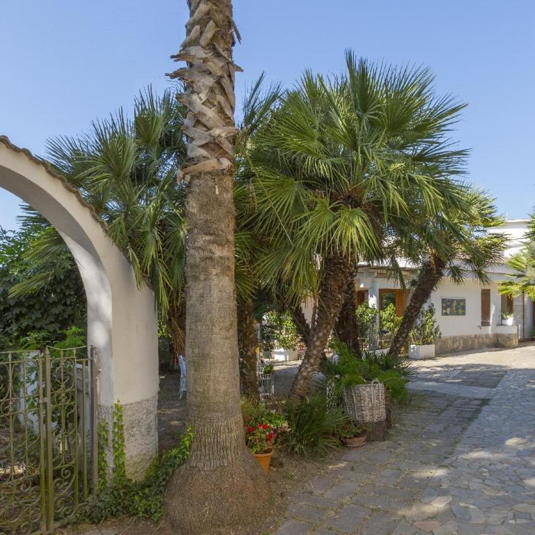 Villa Iaccarino Vista Golfo di Napoli e Ampi Spazi - Villa - 2