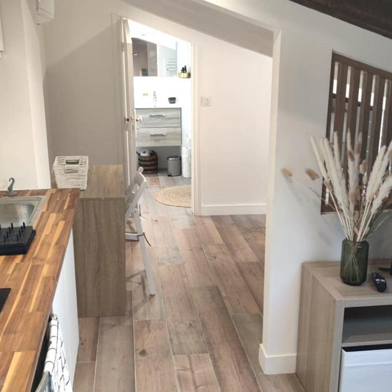 Gubernatis centre ville - Appartement - 2