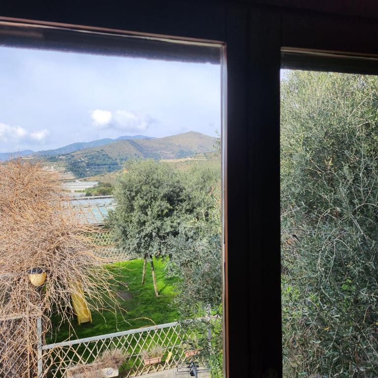 Agriturismo Al Nido Degli Aironi - Large Double Room - 6