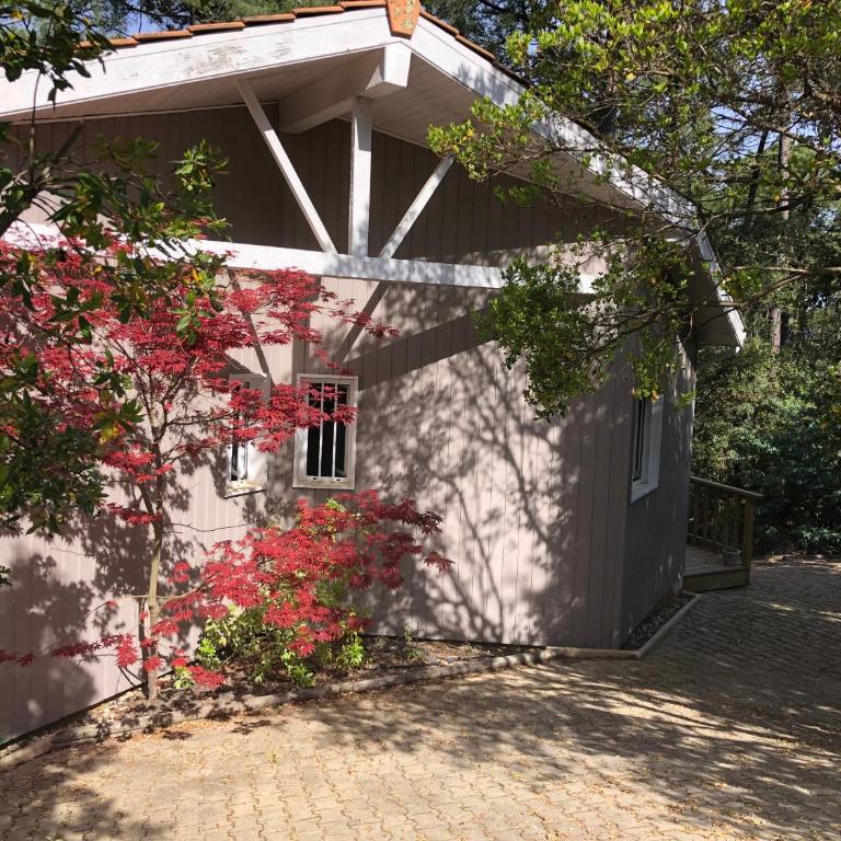 Charmante Villa en bois sur pilotis - Villa - 1