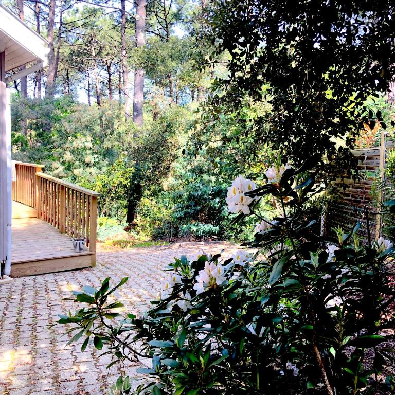 Charmante Villa en bois sur pilotis - Villa - 33