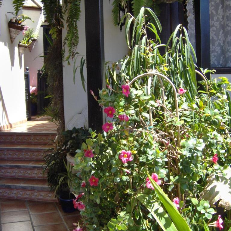 Apartment mit kleiner Innenhof-Terrasse im mediterranen Stil - Apartment - 22