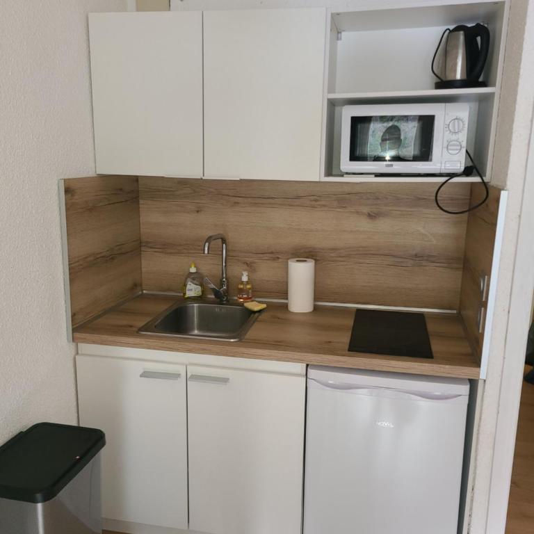 Studio face aux pistes de La Colmiane - Appartement 1 Chambre - 3
