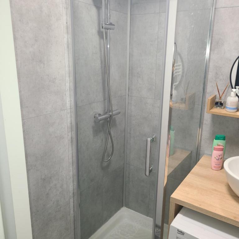 Studio face aux pistes de La Colmiane - Appartement 1 Chambre - 9