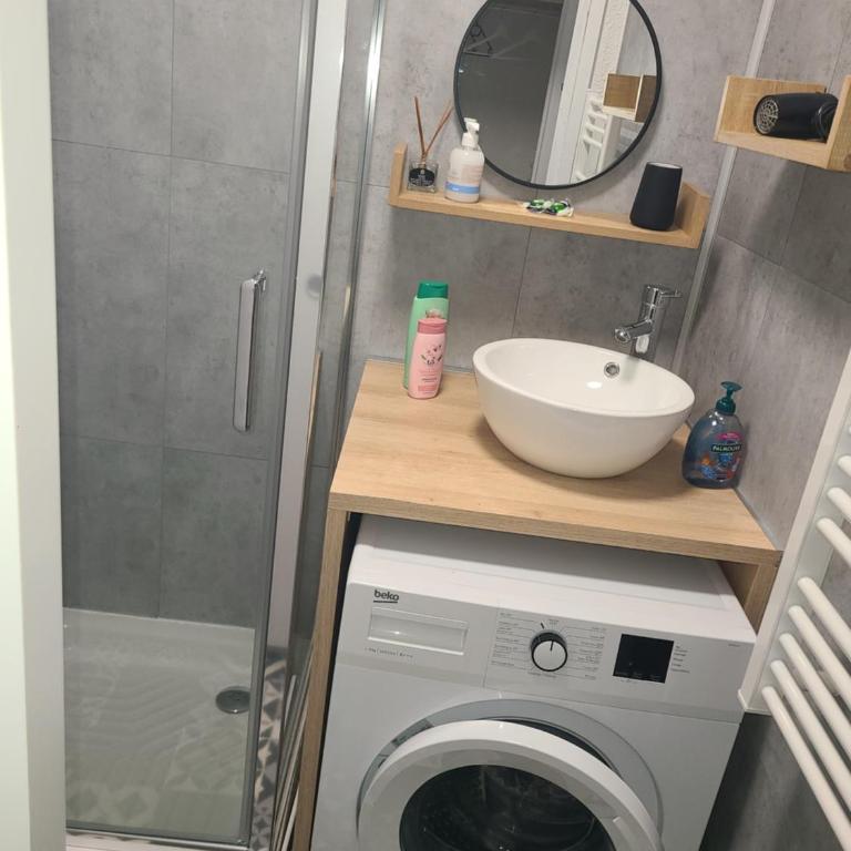Studio face aux pistes de La Colmiane - Appartement 1 Chambre - 10