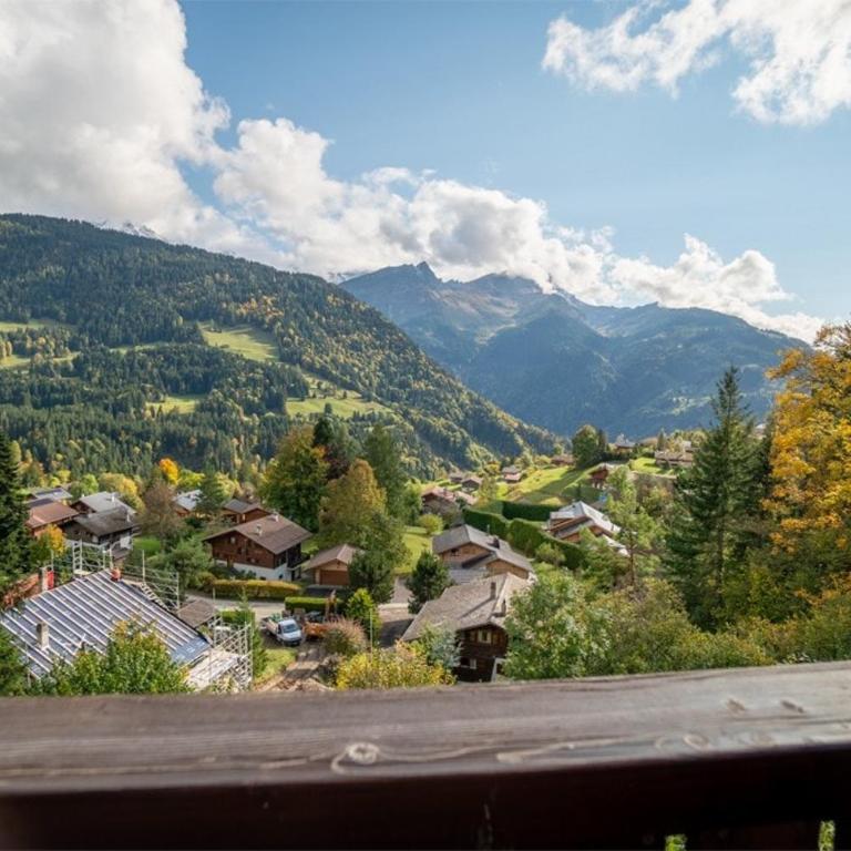 Memoret C27 à Gryon, proche de toutes les commodités - Apartment mit 1 Schlafzimmer - 3