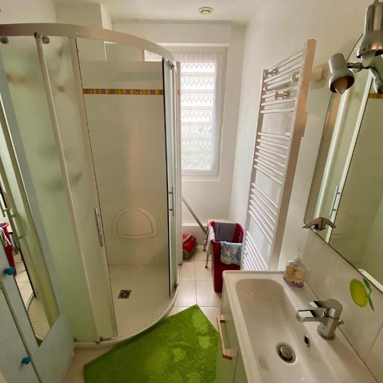 La petite Garzette - Appartement Jardin Centre Ville Concarneau - One-Bedroom Apartment - 8