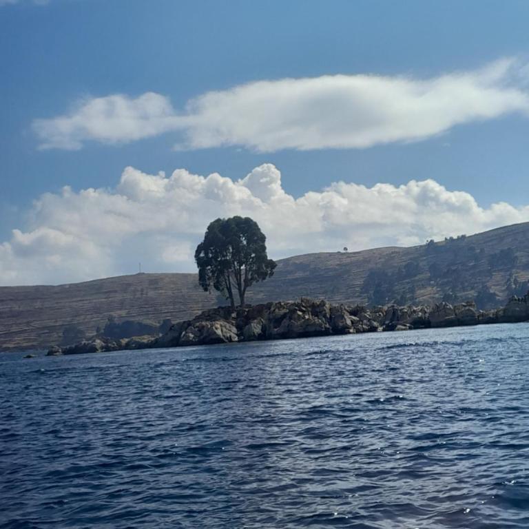 PACHAMAMA - Isla del Sol - Habitación Doble - 2 camas - 8