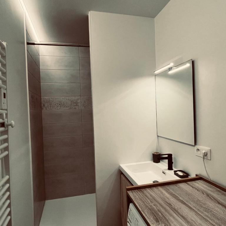 L'ensoleillé, T2 face océan - Apartment mit 1 Schlafzimmer - 7