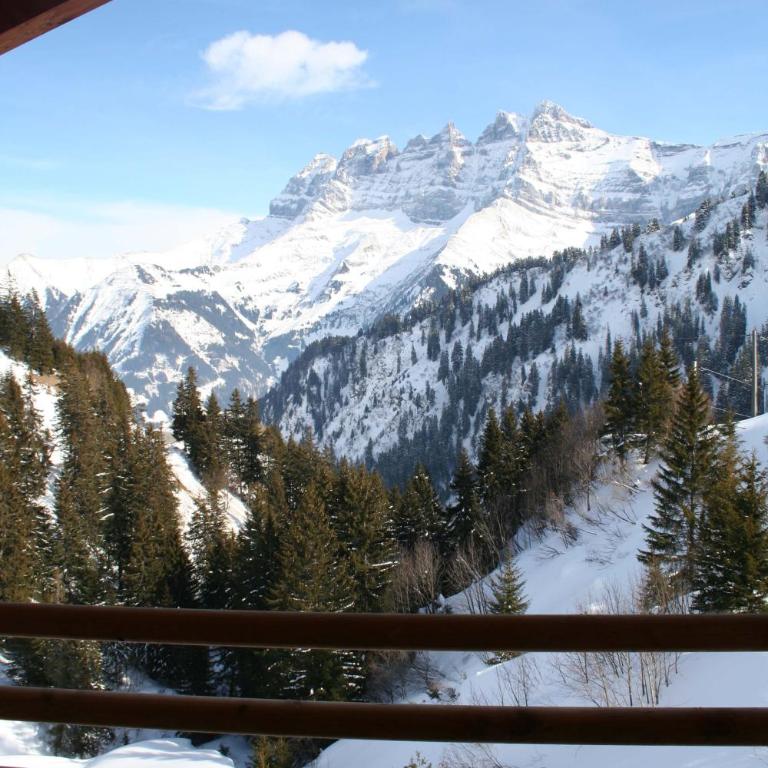 Appartement ski in and ski out - Apartment - 5