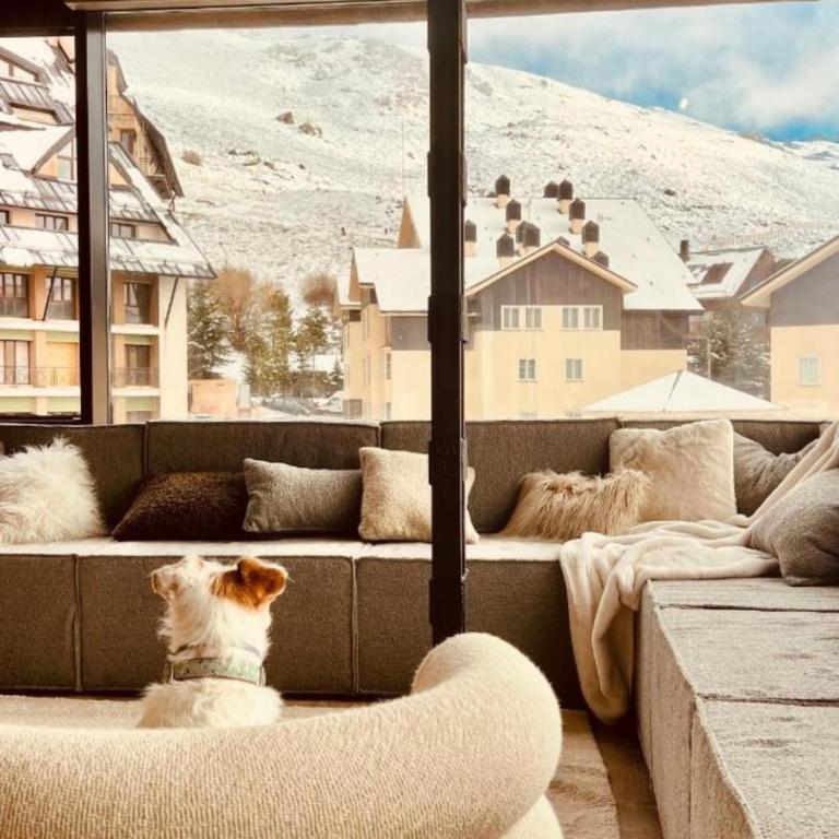 Penthouse Nevado - Apartments with 360 view - Three-Bedroom Apartment - 16