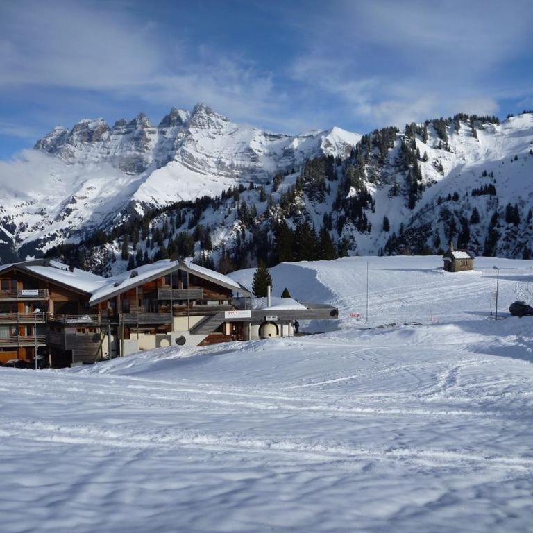Appartement ski in and ski out - Apartment - 1