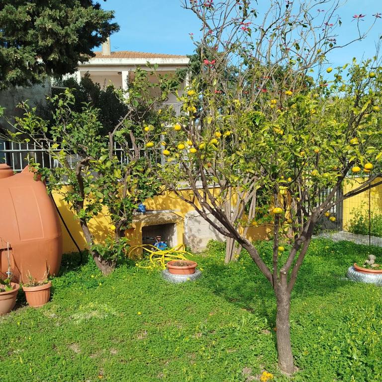 The Apricot House, alle porte di San Teodoro - Two-Bedroom Apartment - 40