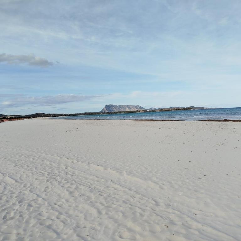 The Apricot House, alle porte di San Teodoro - Two-Bedroom Apartment - 1