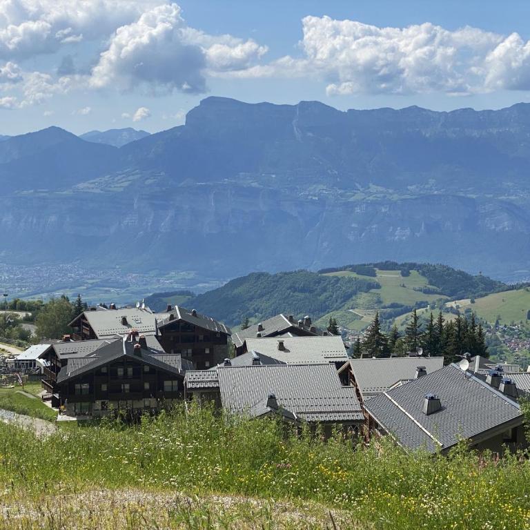 les 7 laux immobilier chalet B - Appartement avec Terrasse - 6