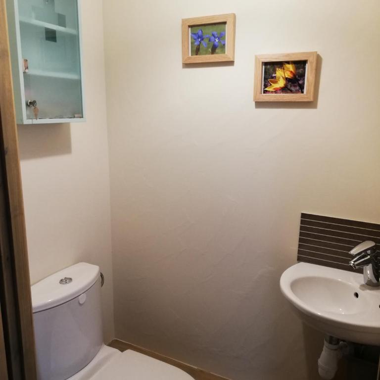 les 7 laux immobilier chalet D - Appartement 2 Chambres - 9