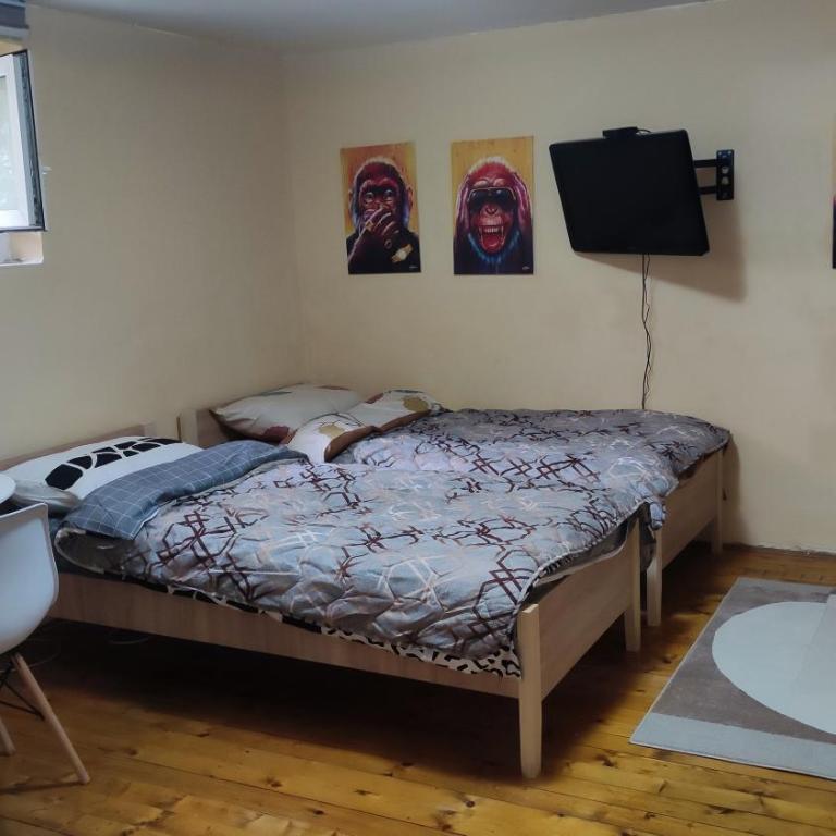 Goxy flat - One-Bedroom Apartment - 1