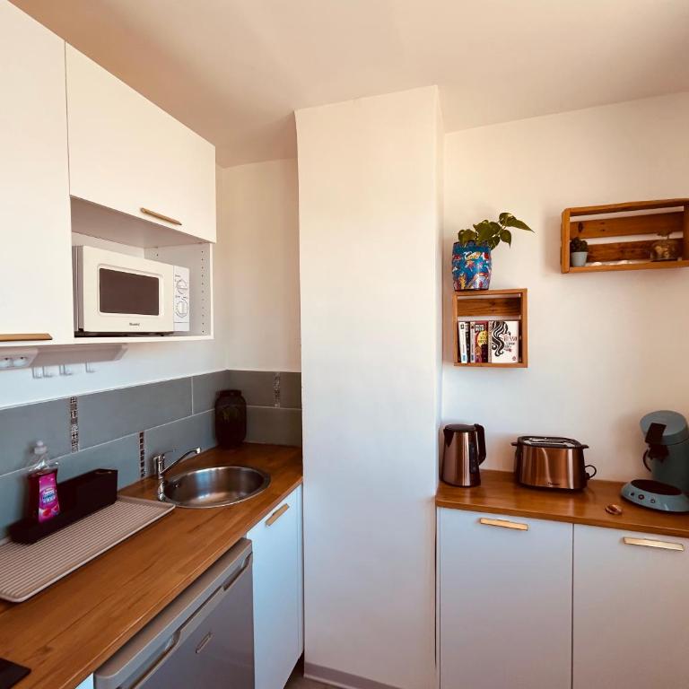 EStudio 1ère ligne vue mer ,place de parking privée accès a la plage de la résidence 3ème étage - Appartement 1 Chambre - 8